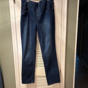 Gloria Vanderbilt Women's Straight Blue Jeans